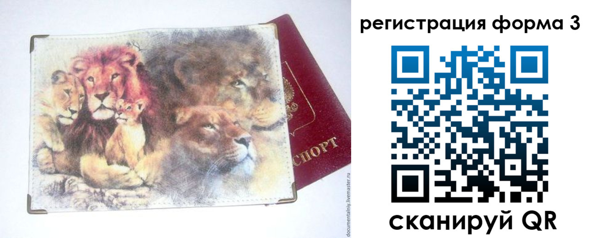 прописка в квартире в Ковдоре